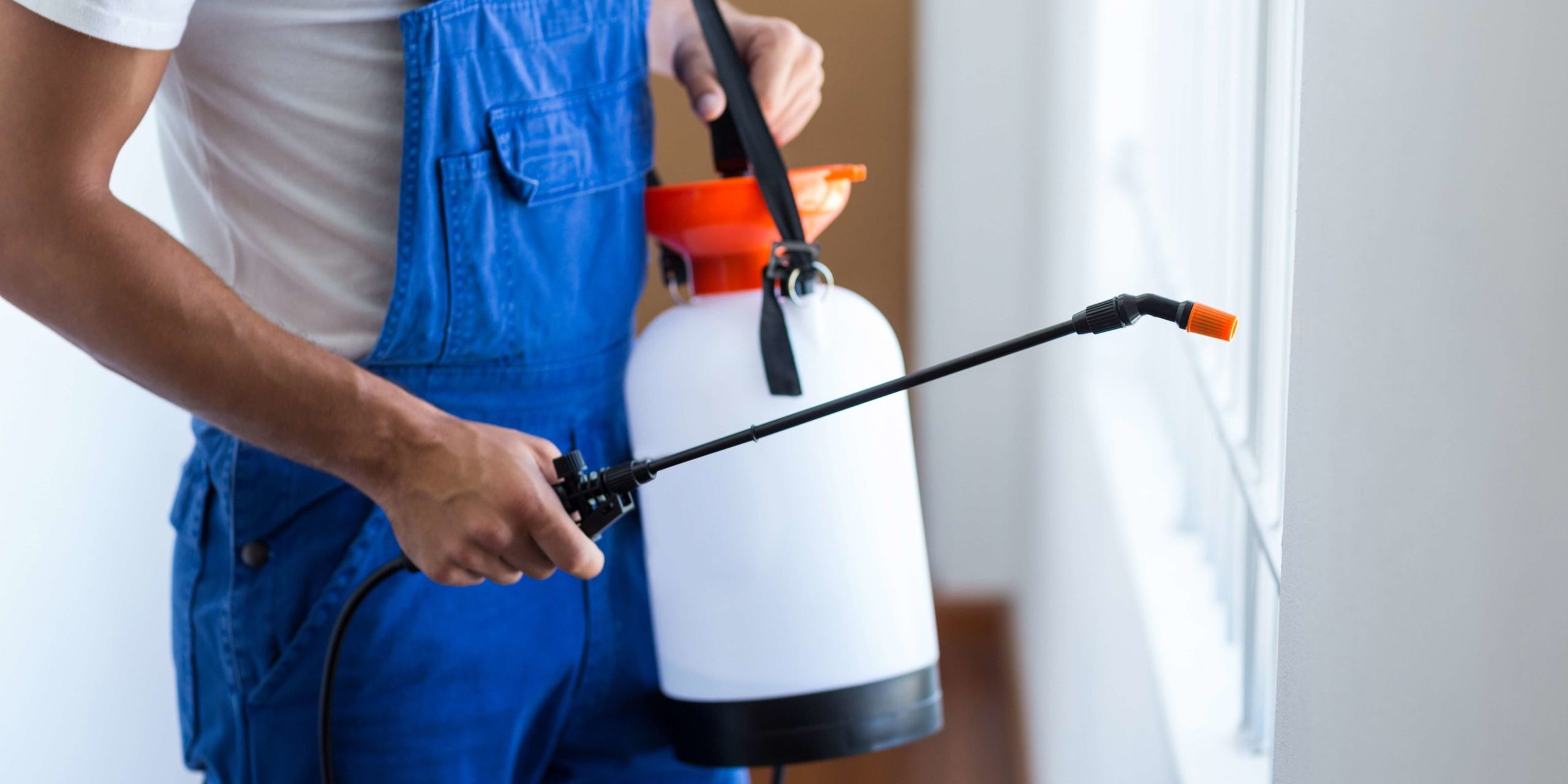 Home Treatment for Kaufman Homes