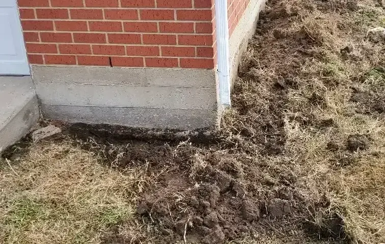Pest Control Service in Kaufman TX Termite Treatment