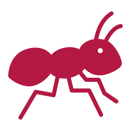 Pests We Treat in Kaufman Ant Control