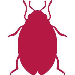 Pests We Treat in Kaufman Bed Bug Treatment