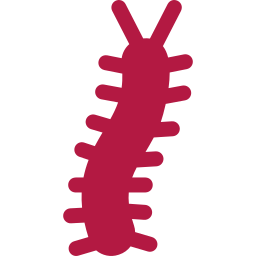 Pests We Treat in Kaufman Centipede