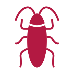Pests We Treat in Kaufman Cockroach Control 2