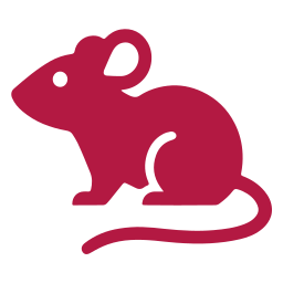 Pests We Treat in Kaufman Rodent Control