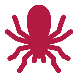 Pests We Treat in Kaufman Spider Control