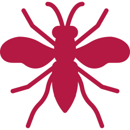 Pests We Treat in Kaufman Wasp Removal