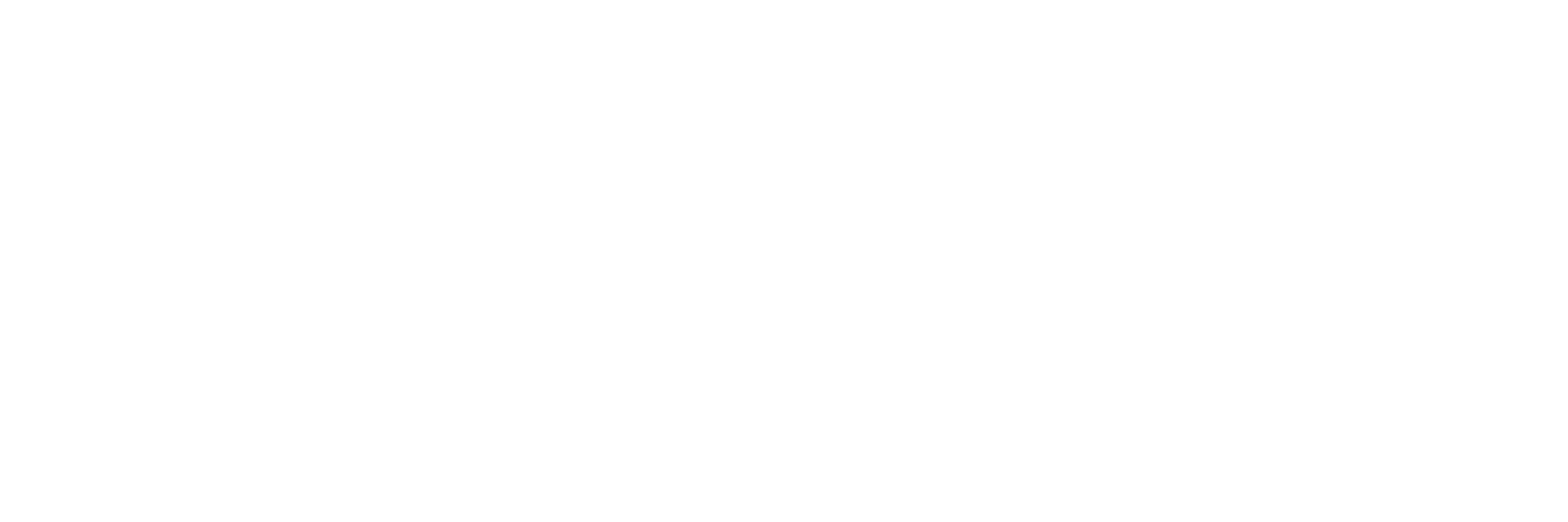 United Termite and Pest White Logo